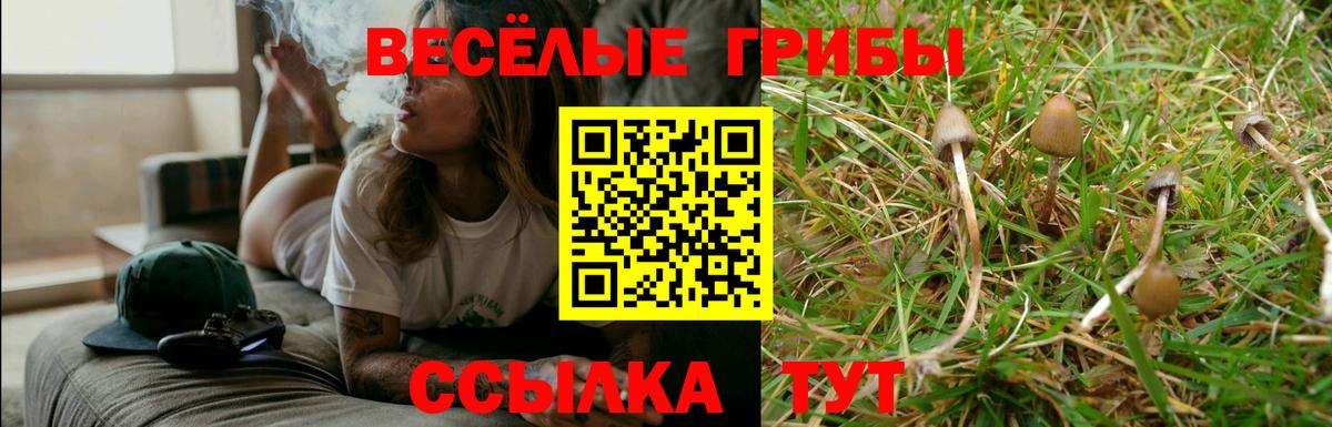 Галлюциногенные грибы Cubensis Комсомольск-на-Амуре